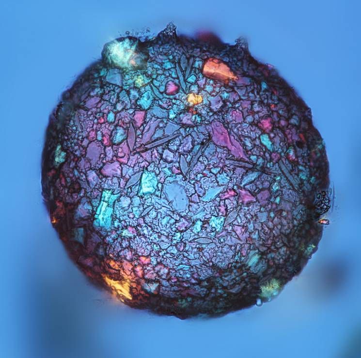 Znamy zwycięzców 12. Wielkiego Konkursu Fotograficznego magazynu National Geographic Polska 9