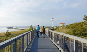 Niemcy piszą o 4 polskich kurortach. Wybrali najpiękniejszą plażę