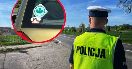 Wróci zielony listek i niższe limity prędkości. Prawo jazdy dla 17-latków to nie wszystko
