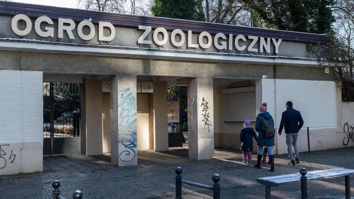 Jest akt oskarżenia w sprawie byłej dyrektorki poznańskiego ZOO.