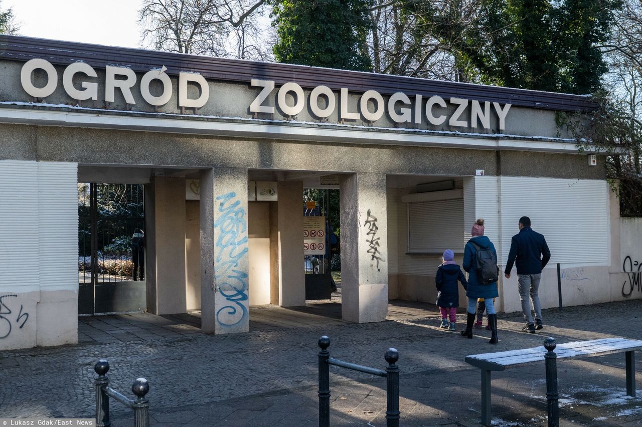 Jest akt oskarżenia przeciwko byłej dyrektorce ZOO. Wyrządziła szkody na ponad 100 tys. zł