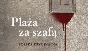 Plaża za szafą. Polska kryminalna