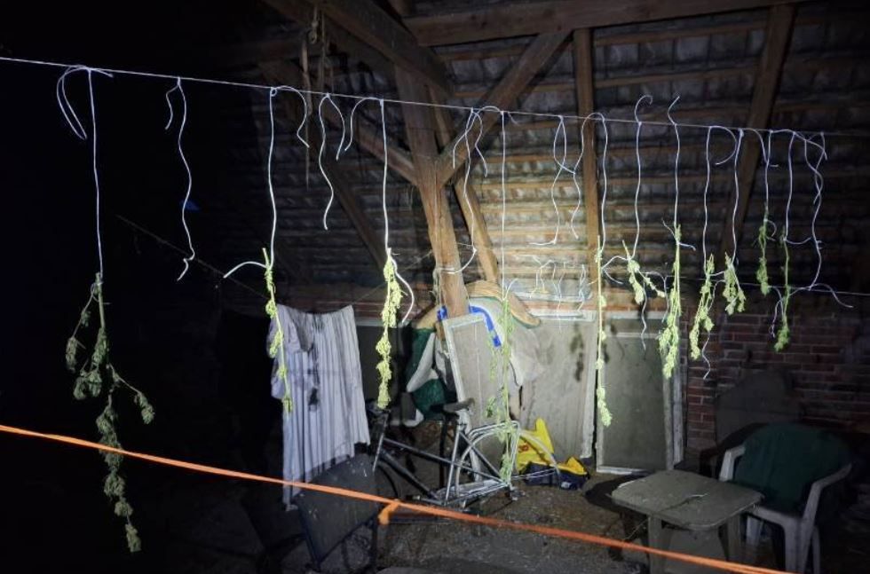 Milicz: Niecodzienne odkrycie na strychu — suszona marihuana