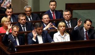 Łukasz Warzecha: koalicja trzeszczy w szwach