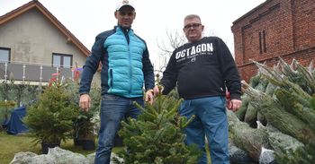 Ruszowice: Strażacy zapraszają po świąteczne drzewka. Przy okazji można wesprzeć akcję "Choinki dla Nadinki"