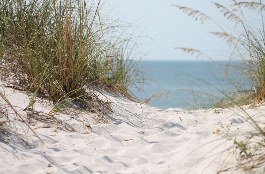 Sopocka plaża została wyróżniona w międzynarodowym konkursie