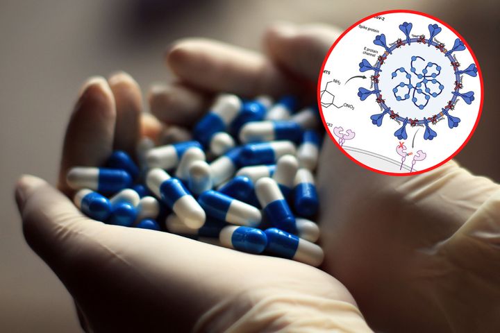 Lek sprawia, że SARS-CoV-2 nie może zainfekować komórek