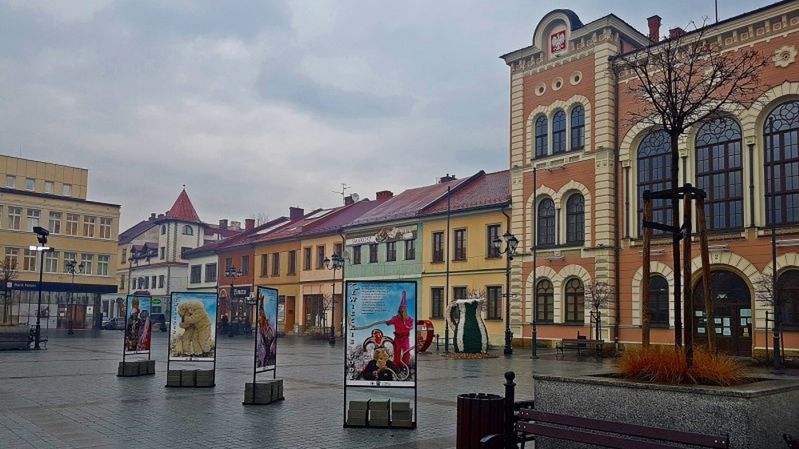 Śląskie. Z okazji Żywieckich Godów Miejskie Centrum Kultury przygotowało na żywieckim Rynku wystawę plenerową.
