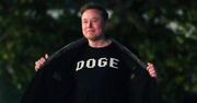 Musk nazwał senatora "zdrajcą". Doczekał się odpowiedzi