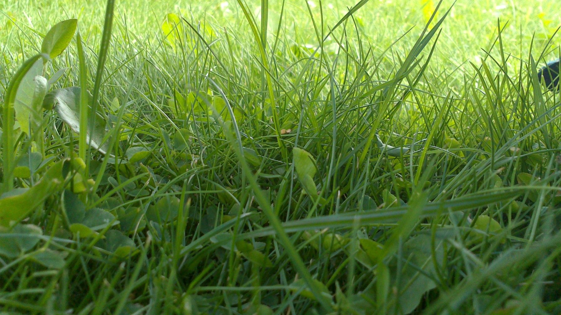 Sony Xperia sola – Android dla przeciętnego Kowalskiego [test] 8