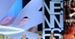 Cannes: Jakim chcesz być zwierzęciem? [RELACJA]