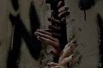"The Walking Dead": Kiedy premiera 2.sezonu w Polsce?