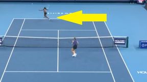 Zaskoczyła wszystkich. Piękna akcja Coco Gauff i Karoliny Muchovej [WIDEO]