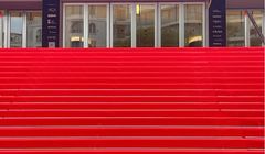 Cannes Lions 2023 okiem Agnieszki Bacińskiej z Walk PR. Najlepsze kampanie, narzędzia i kreacje