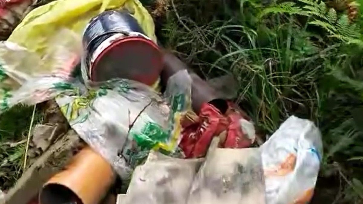 Szokujące nagranie z lasu. "Nic tak nie podnosi ciśnienia"