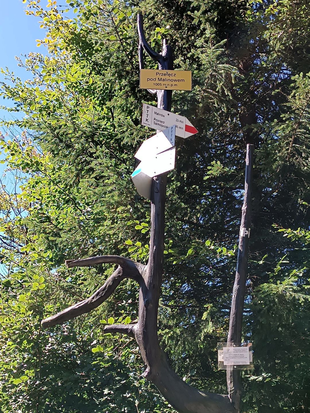 Drogowskaz na Przełęczy pod Malinowem na wysokości 1005 m n.p.m.