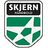 Skjern Handbold