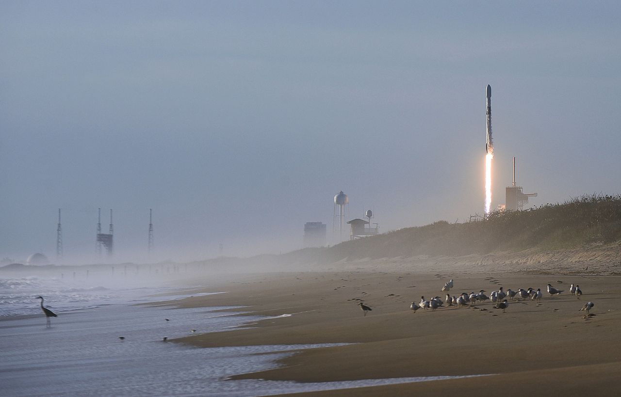 Starlink nad Polską. Kosmiczne show Elona Muska znów na niebie. Najpierw start rakiety Falcon 9