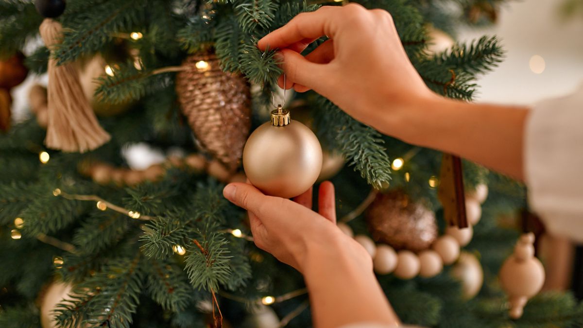 Kiedy ubrać choinkę?
