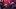 Devil May Cry V, zrzut ekranu z gry, fot. piton24 / Xbox DVR