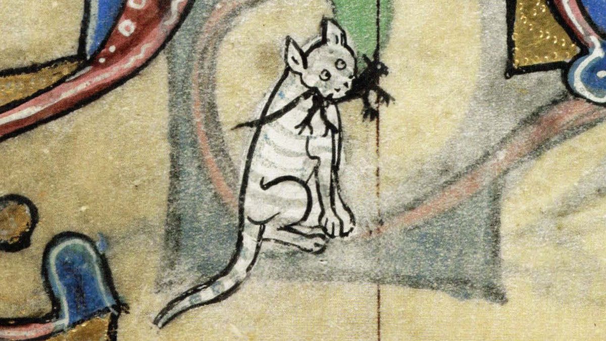 Mroczna historia powiedzenia "nie kupuj kota w worku"