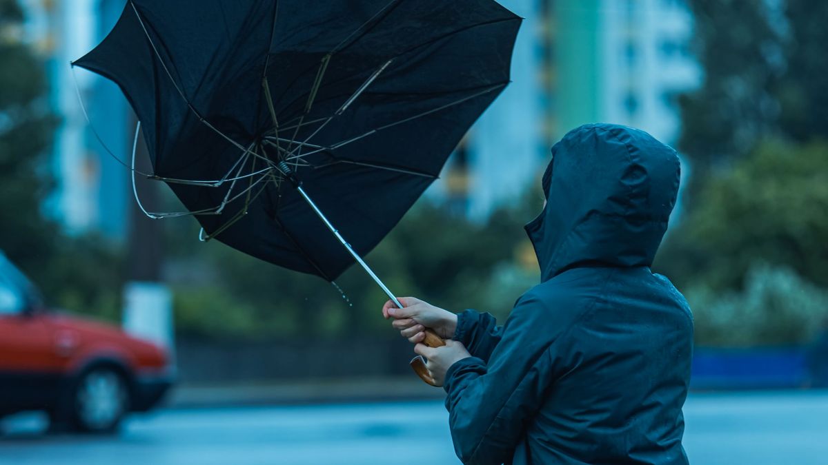 Silny wiatr nie jest jedynie chwilową niedogodnością.