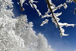 Pogoda długoterminowa. Ocieplenie poprzedzi mroźny szturm zimy