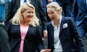 AfD przed CDU w sondażu z Nadrenii Północnej-Westfalii