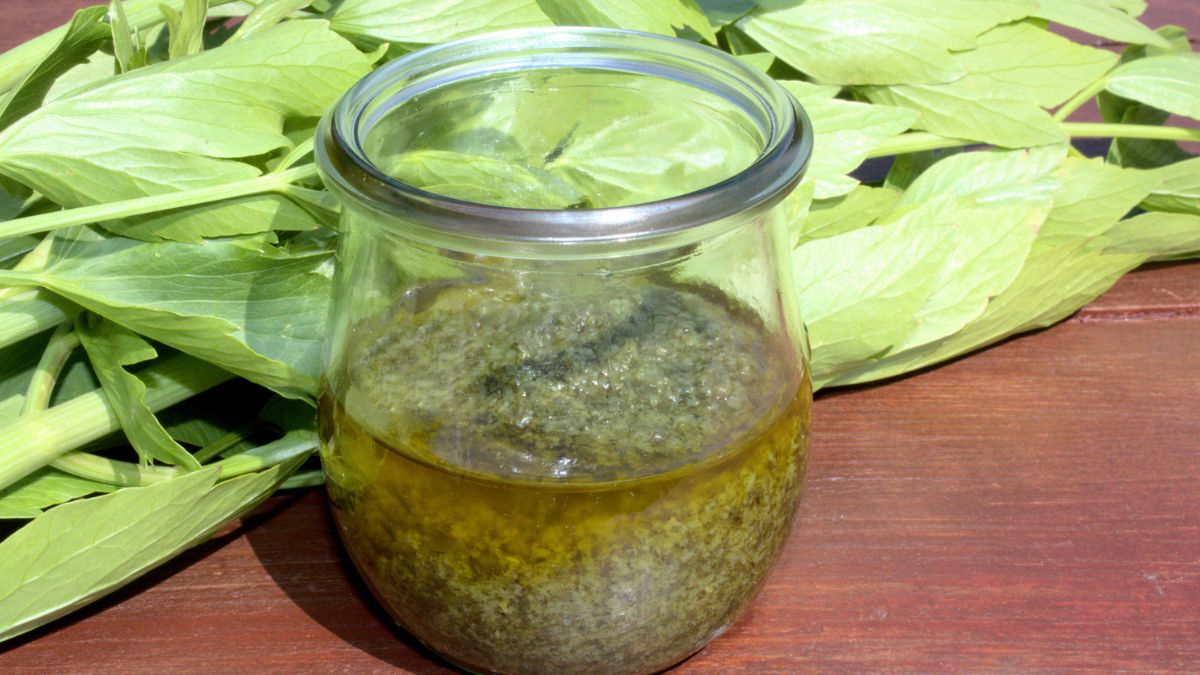 Lubczyk jest bardzo wszechstronny, nadaje się także do robienia pesto