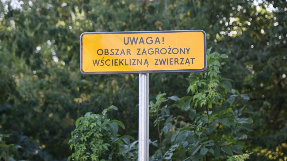 Wścieklizna