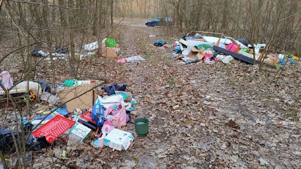 Zdjęcie ilustracyjne