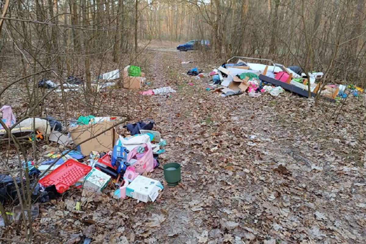 Wyrzucono 5 ton śmieci do lasu. Szokujący finał sprawy