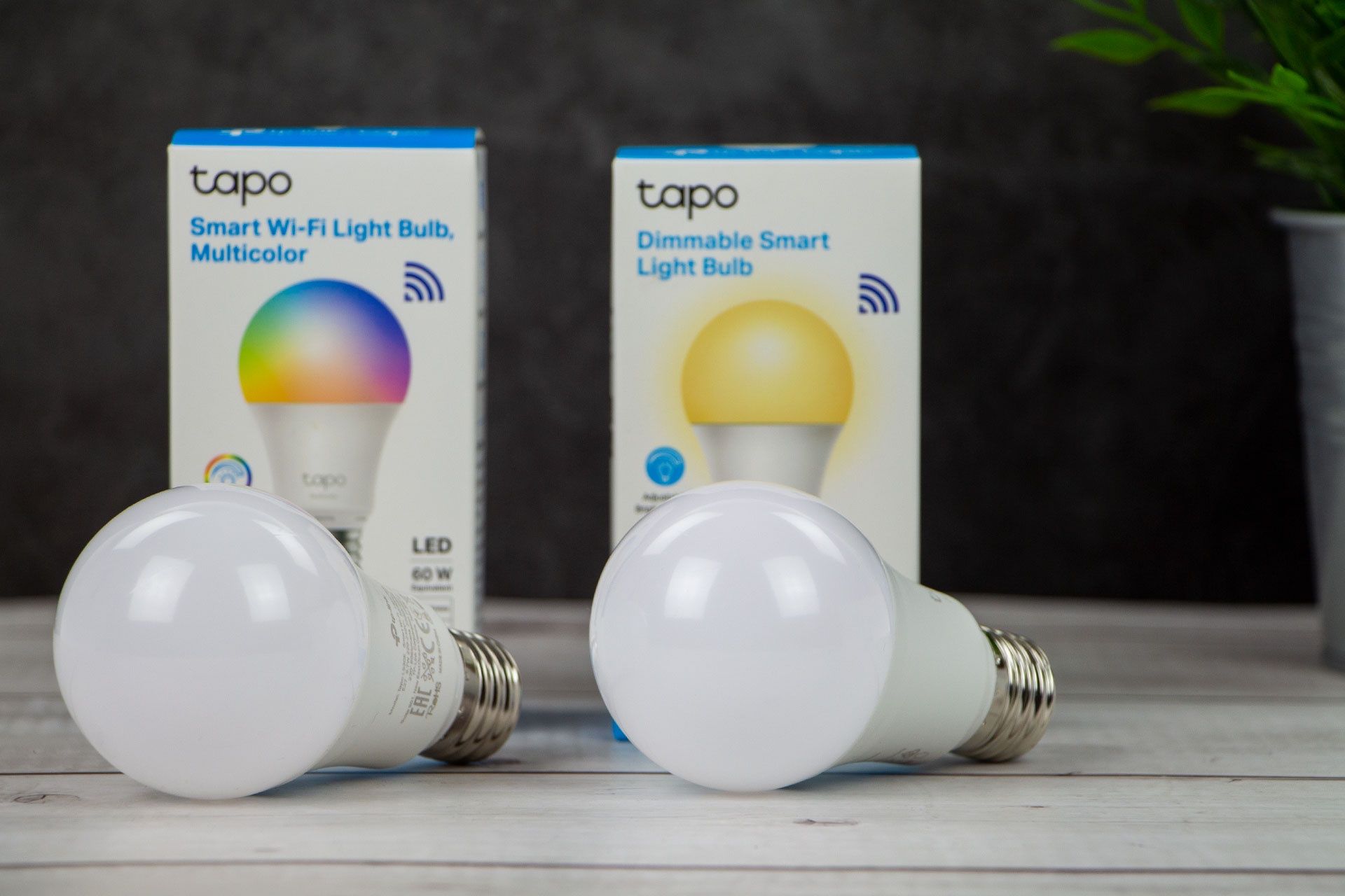 TP-Link Tapo L510E i L530E - żarówki smart