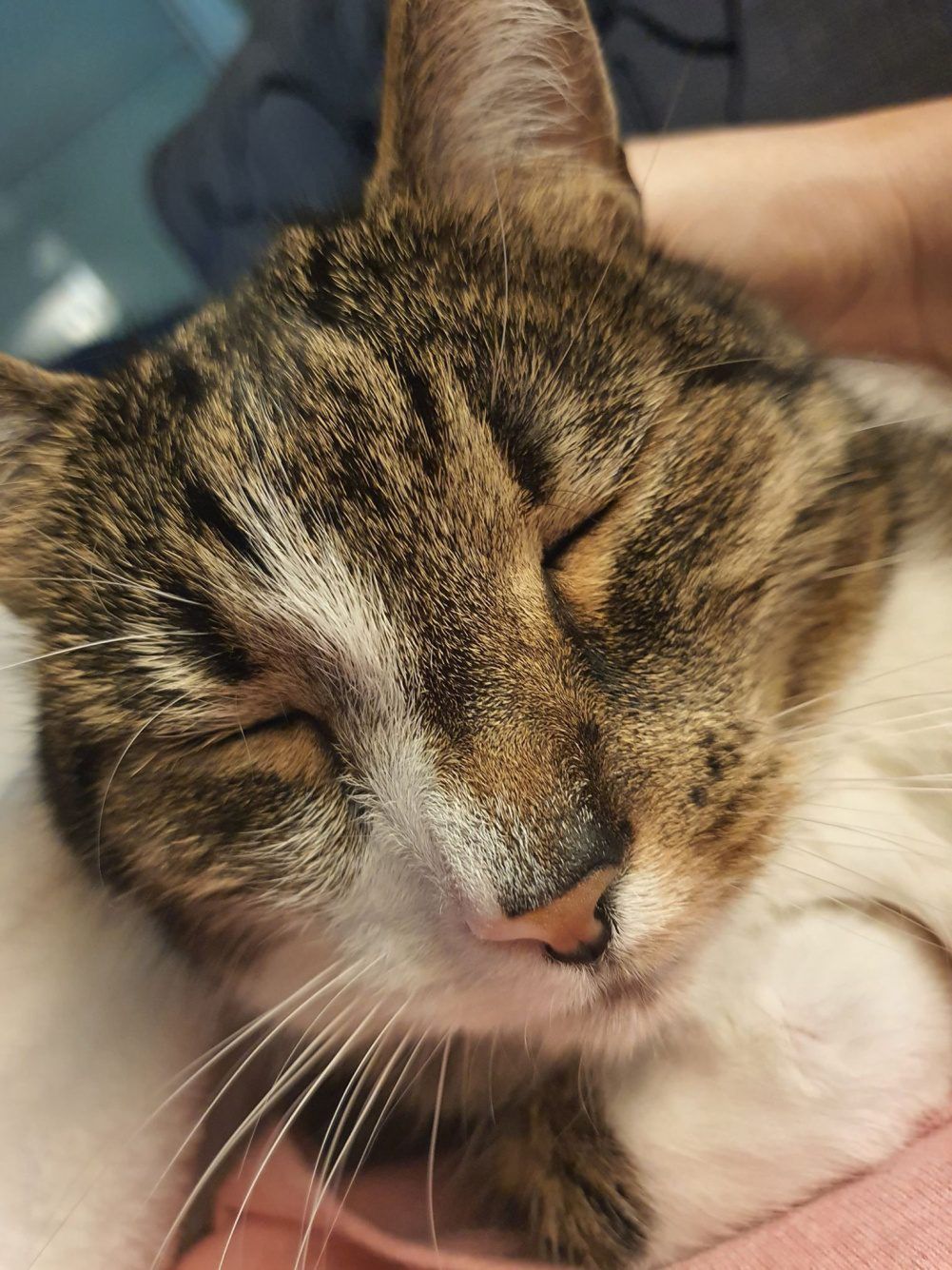 Tak mi z Tobą dobrze, że sobie pomrugam – twierdzi Leoś 😉