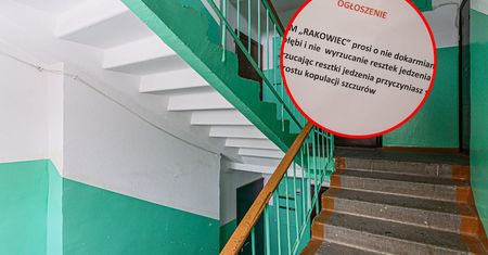 Ogłoszenie spółdzielni hitem internetu. "Popłakałam się"