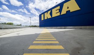 Ikea wprowadza koronawirusowe zasady. Nie obsłuży osób bez maseczek
