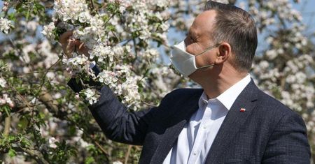 W malinowym chruśniaku, ale może być w sadzie jabłoni (Felieton)