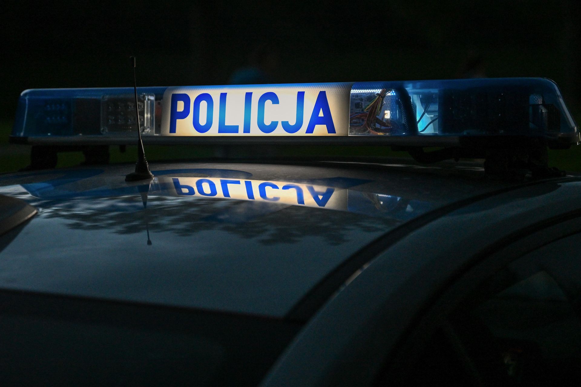 wiadomości,aktualności,WP Wiadomości Strzelanina w Wielkopolsce. Policja zakończyła obławę