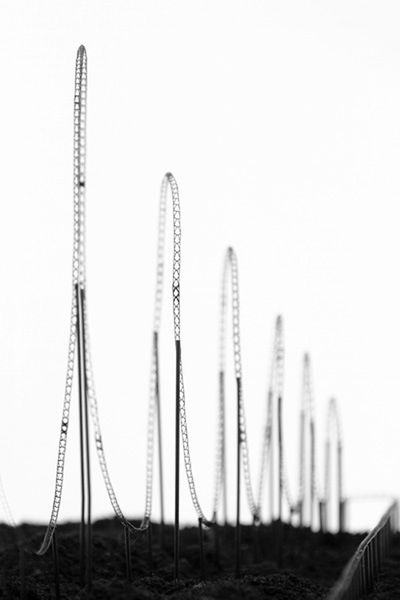 Euthanasia Coaster