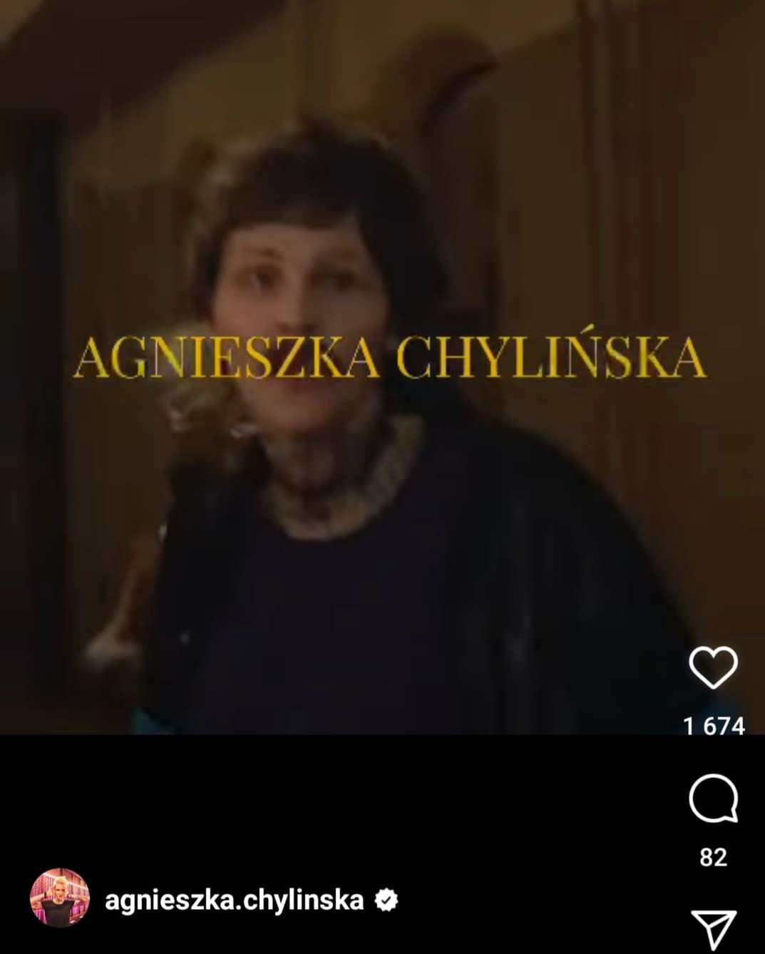 Agnieszka Chylińska ma wąsa