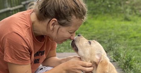 Prowadzi hotel dla psów. Niektóre nie chcą potem wracać do domu