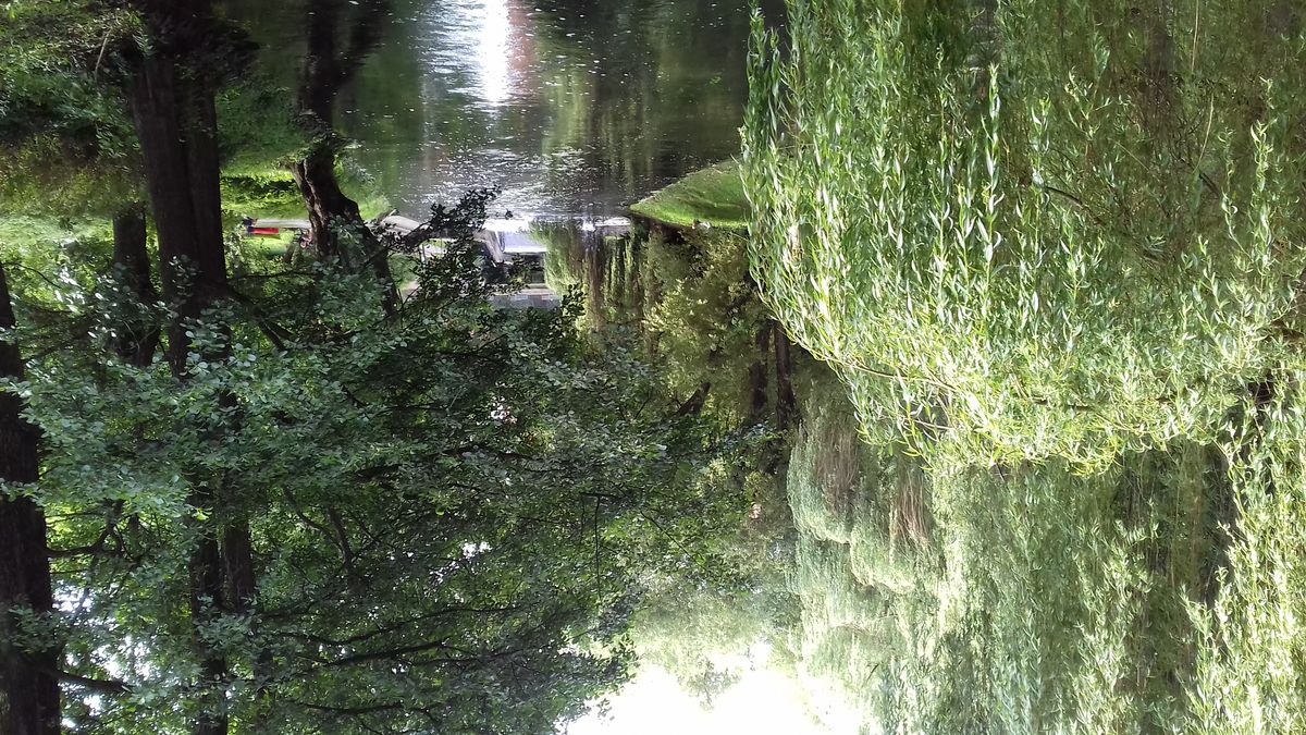 Olsztyn może pochwalić się mnóstwem zieleni w mieście