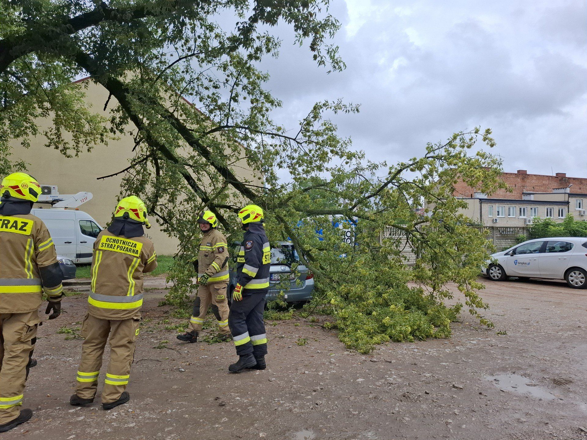 Konar przygniótł samochód na parkingu na tyłach Ratusza