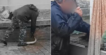 Drastyczne sceny na targowisku. Tak wygląda sprzedaż żywych ryb
