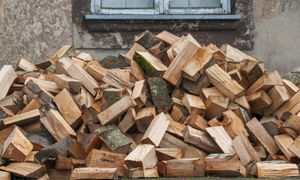 Ceny opału w nadleśnictwach. Tyle kosztuje metr drewna