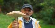Wysyp grzybów i zaginięć grzybiarzy. Leśnik radzi, jak nie zgubić się w lesie