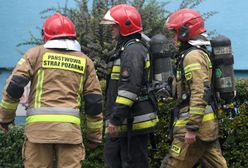 Siedem z ośmiu budynków nie do zamieszkania. Inspektorzy na pogorzelisku w Rzeszowie