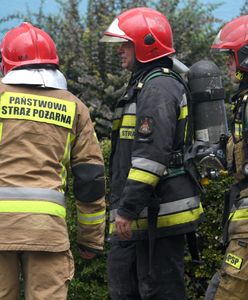 Siedem z ośmiu budynków nie do zamieszkania. Inspektorzy na pogorzelisku w Rzeszowie