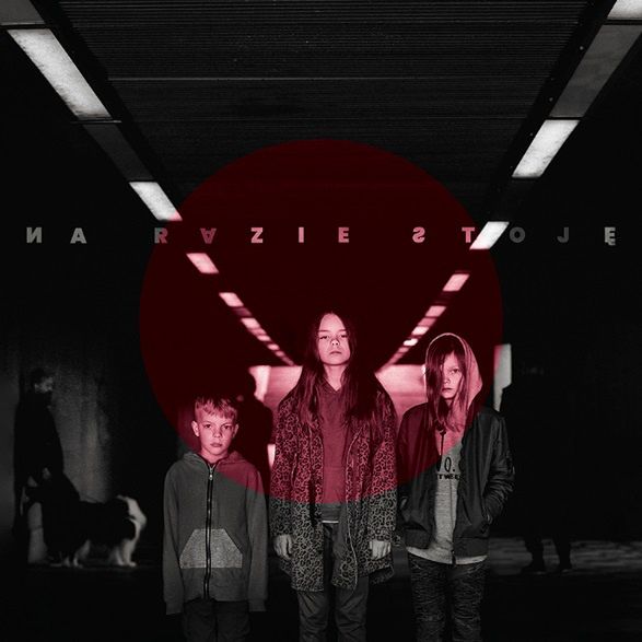 Płyta "Na razie stoję, na razie patrzę" miała premierę 5 listopada