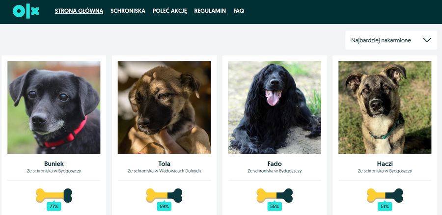 Nakarm psa z OLX